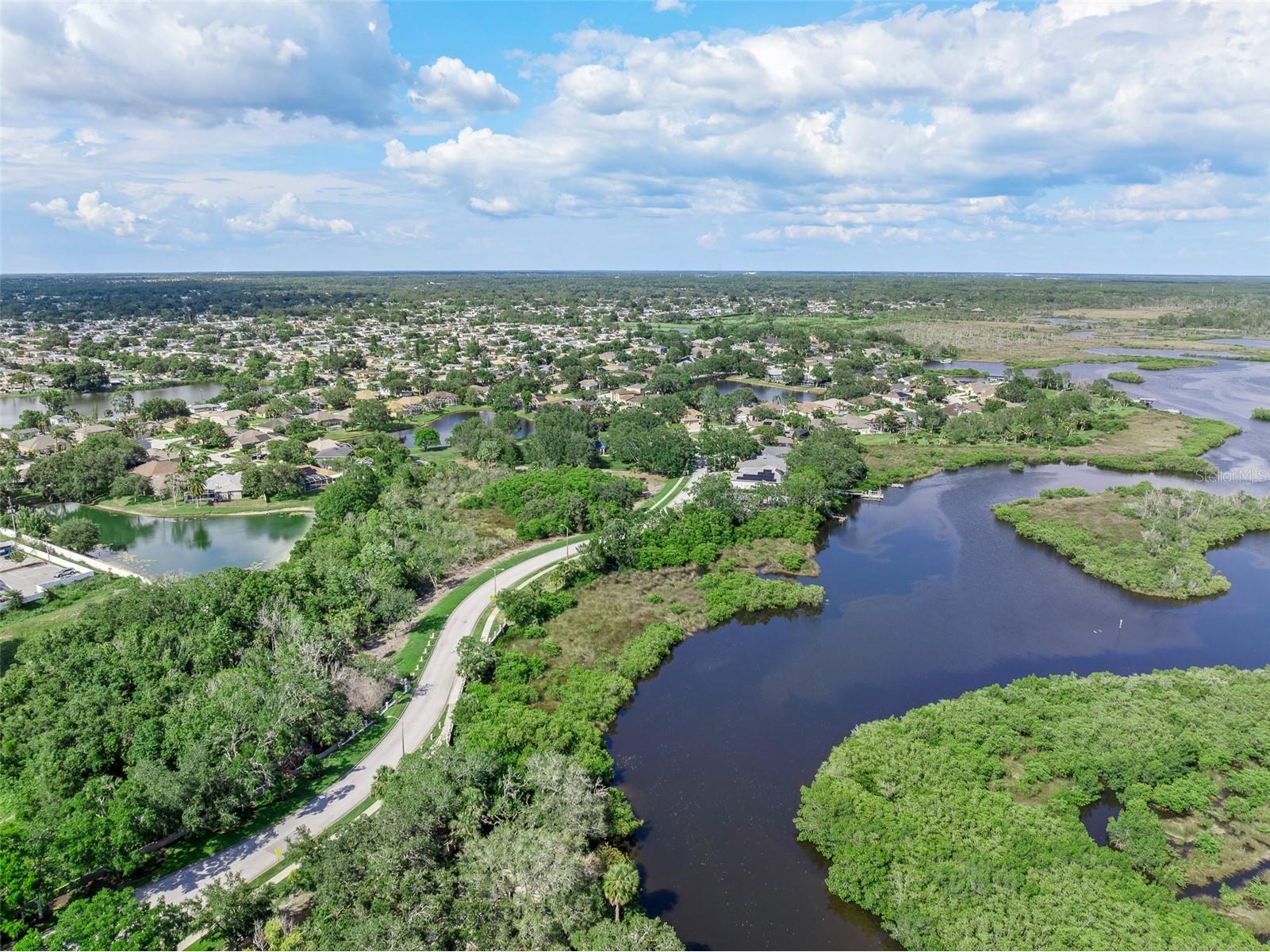 1291 Blackrush Drive Tarpon Springs FL 34689 O6370580 image68