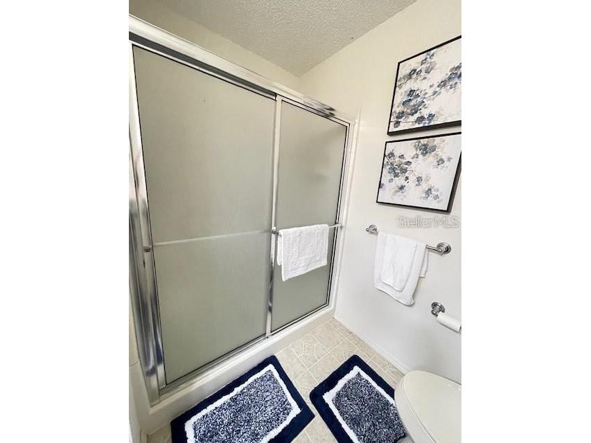 1291 Jonesville Terrace The Villages FL 32162 G5104103 image21