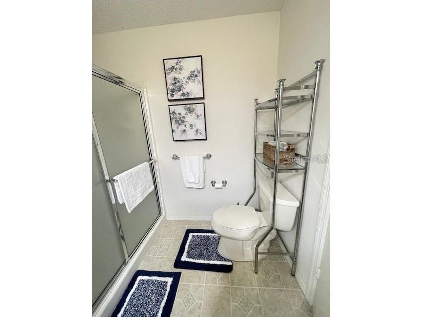 1291 Jonesville Terrace The Villages FL 32162 G5104103 image22