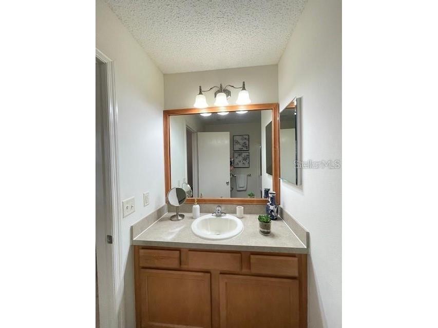 1291 Jonesville Terrace The Villages FL 32162 G5104103 image23