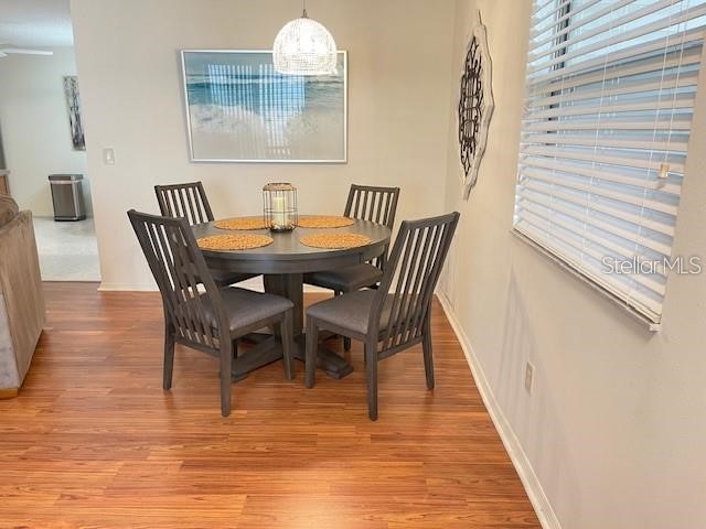 1291 Jonesville Terrace The Villages FL 32162 G5104103 image9