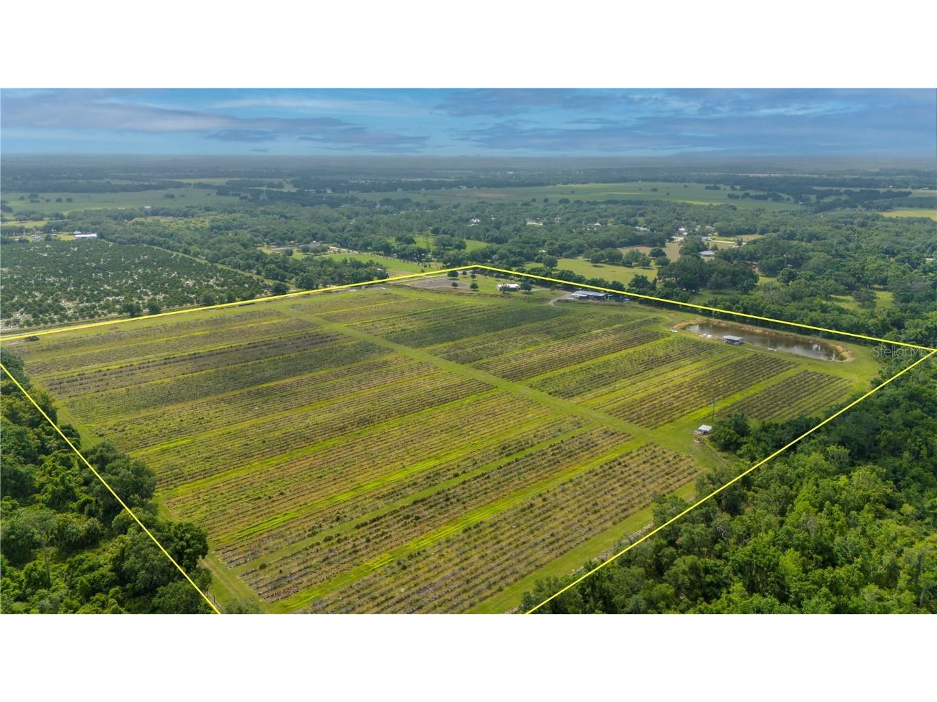 1291 NE Hansel Avenue Arcadia FL 34266 C7491452 image1