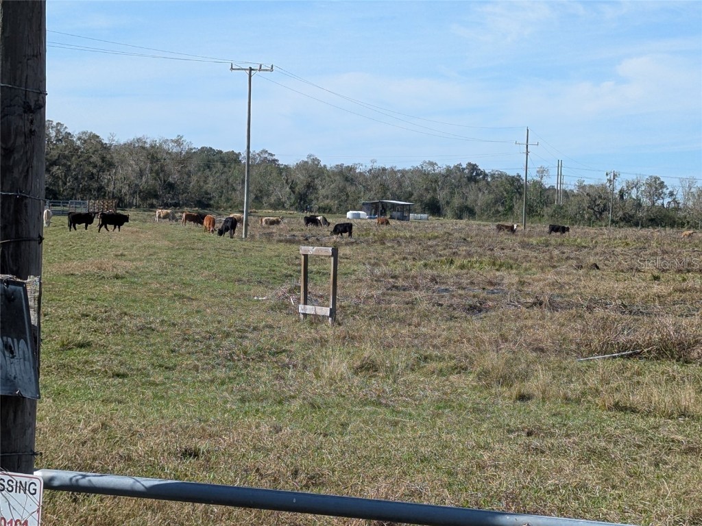 1291 NE Hansel Avenue Arcadia FL 34266 C7502866 image1