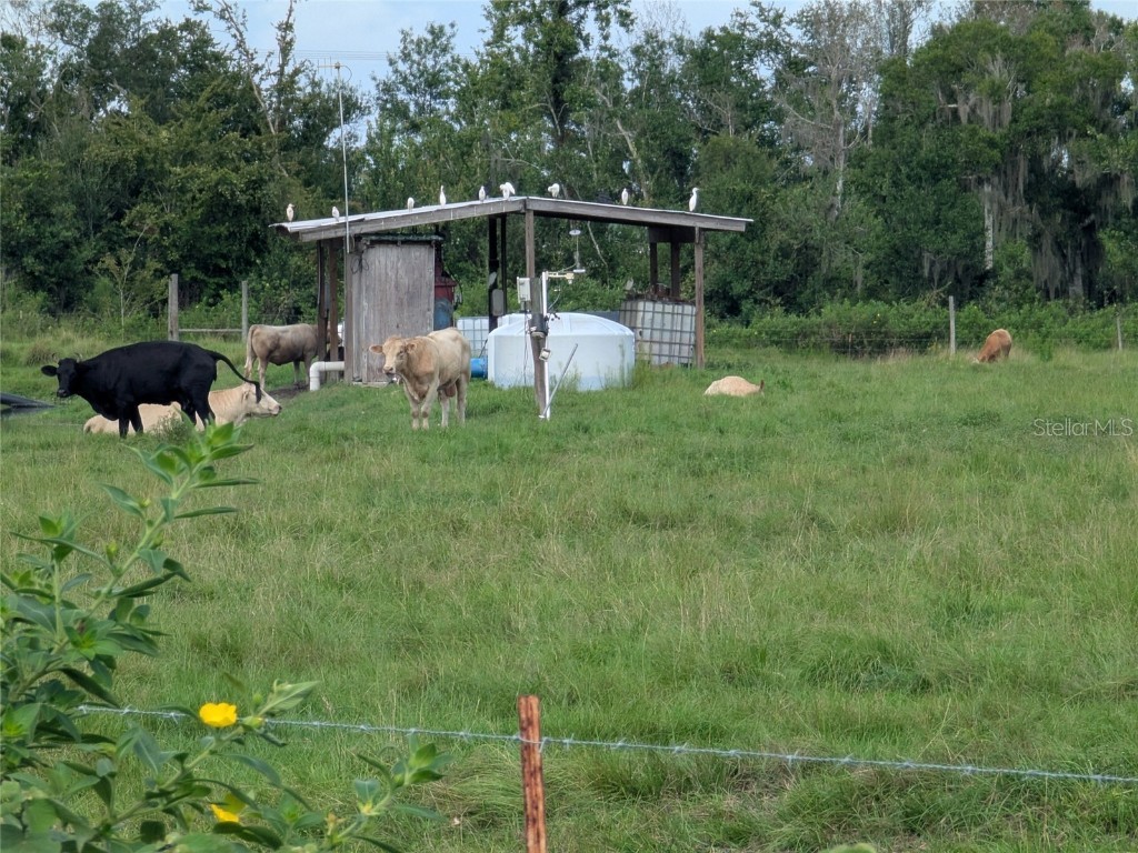 1291 NE Hansel Avenue Arcadia FL 34266 C7514180 image42