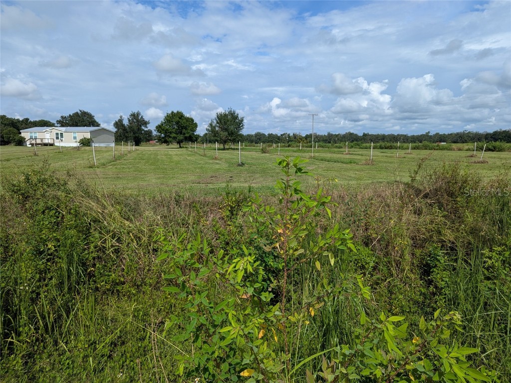 1291 NE Hansel Avenue Arcadia FL 34266 C7514180 image48