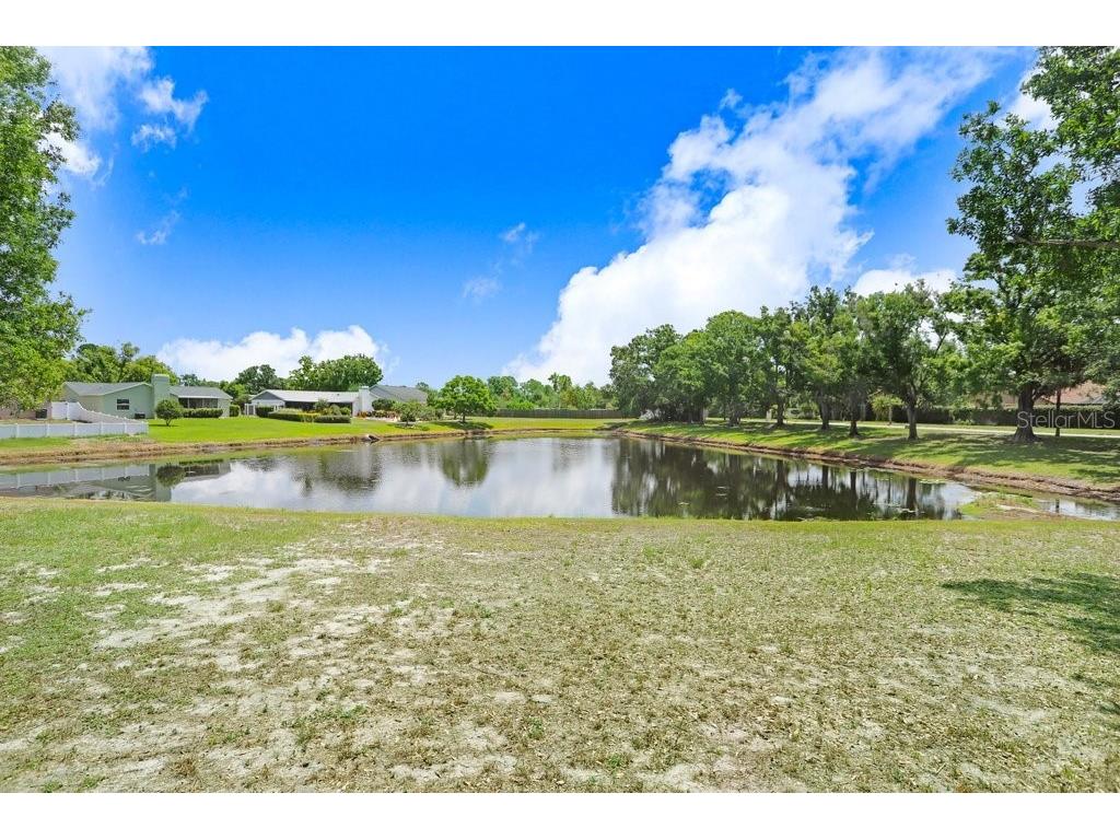 12910 Leadwood Drive Riverview FL 33579 TB8390156 image22