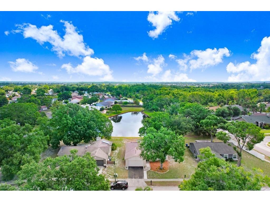 12910 Leadwood Drive Riverview FL 33579 TB8390156 image25