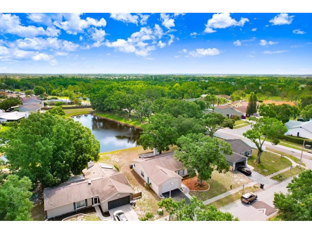 12910 Leadwood Drive Riverview FL 33579 TB8390156 image26