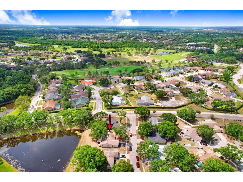 12910 Leadwood Drive Riverview FL 33579 TB8390156 image32