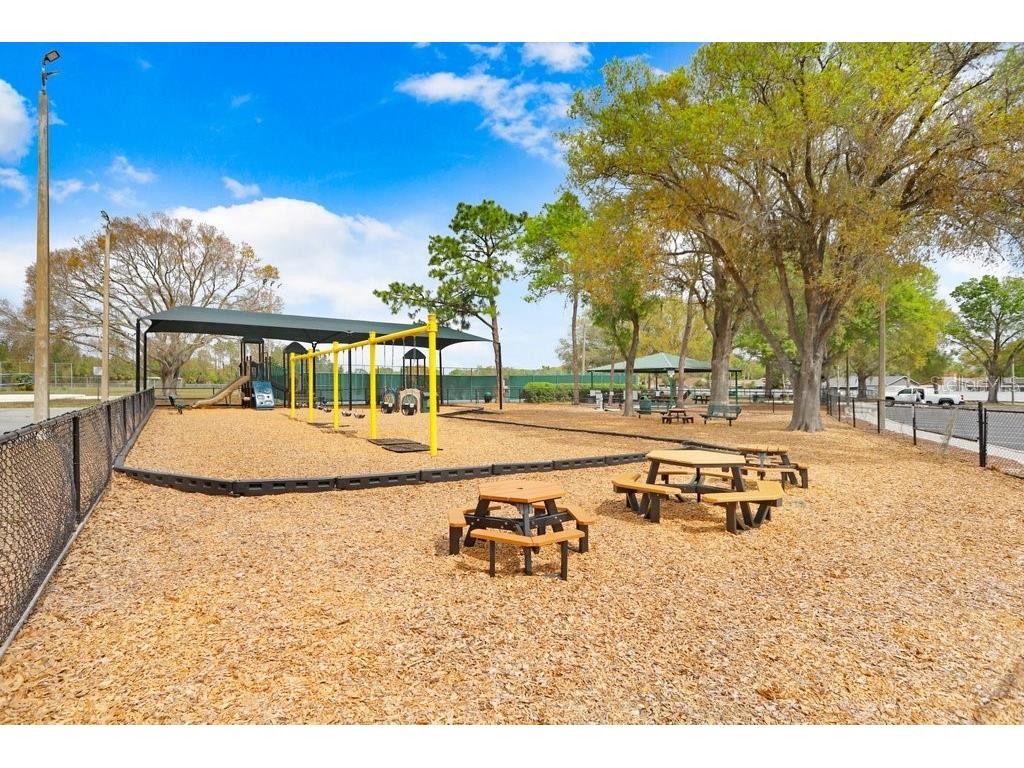 12910 Leadwood Drive Riverview FL 33579 TB8390156 image37