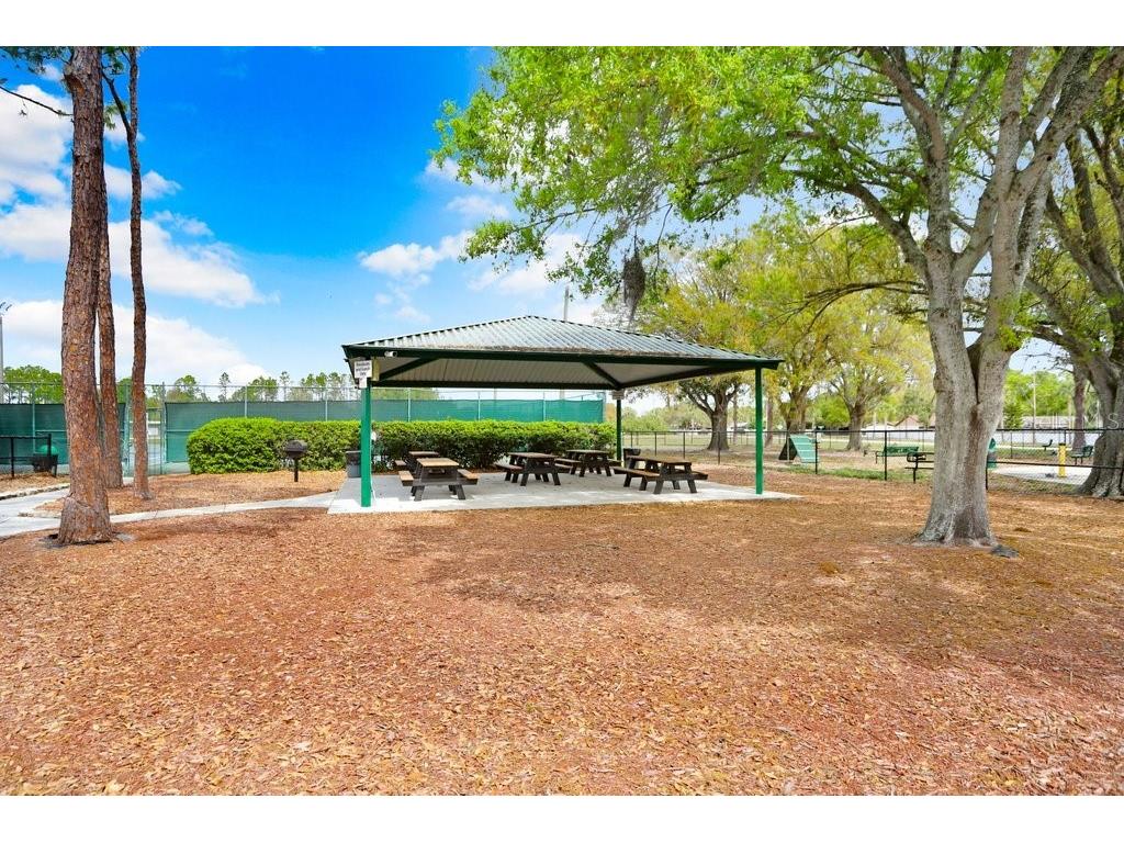 12910 Leadwood Drive Riverview FL 33579 TB8390156 image38