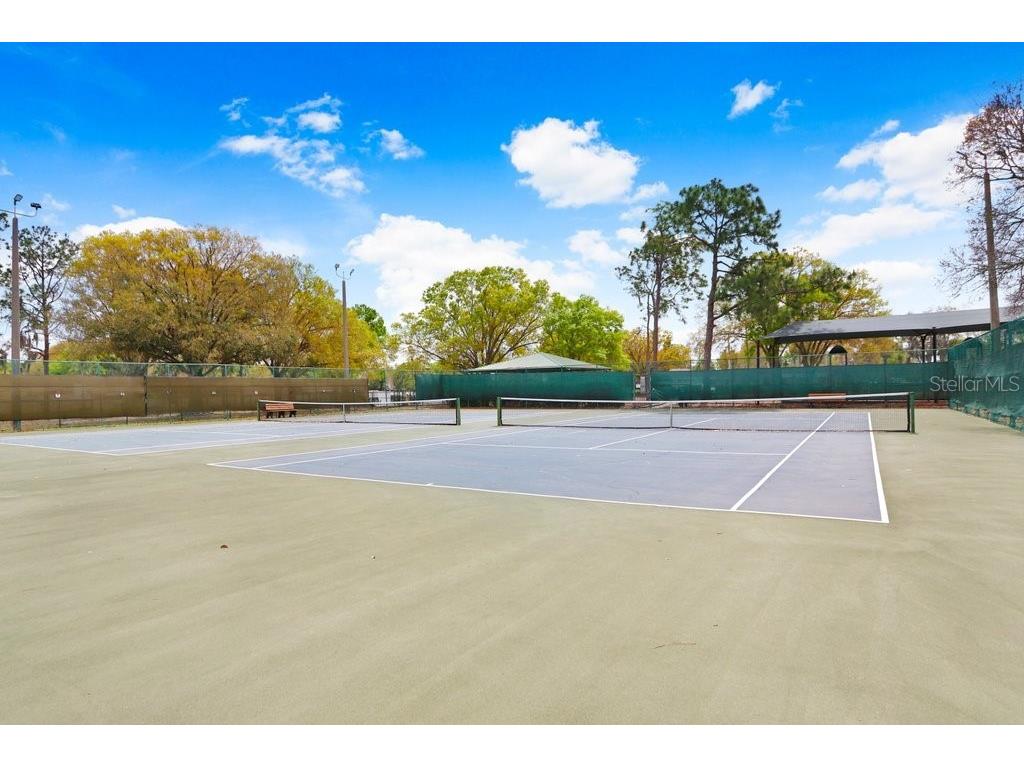 12910 Leadwood Drive Riverview FL 33579 TB8390156 image39