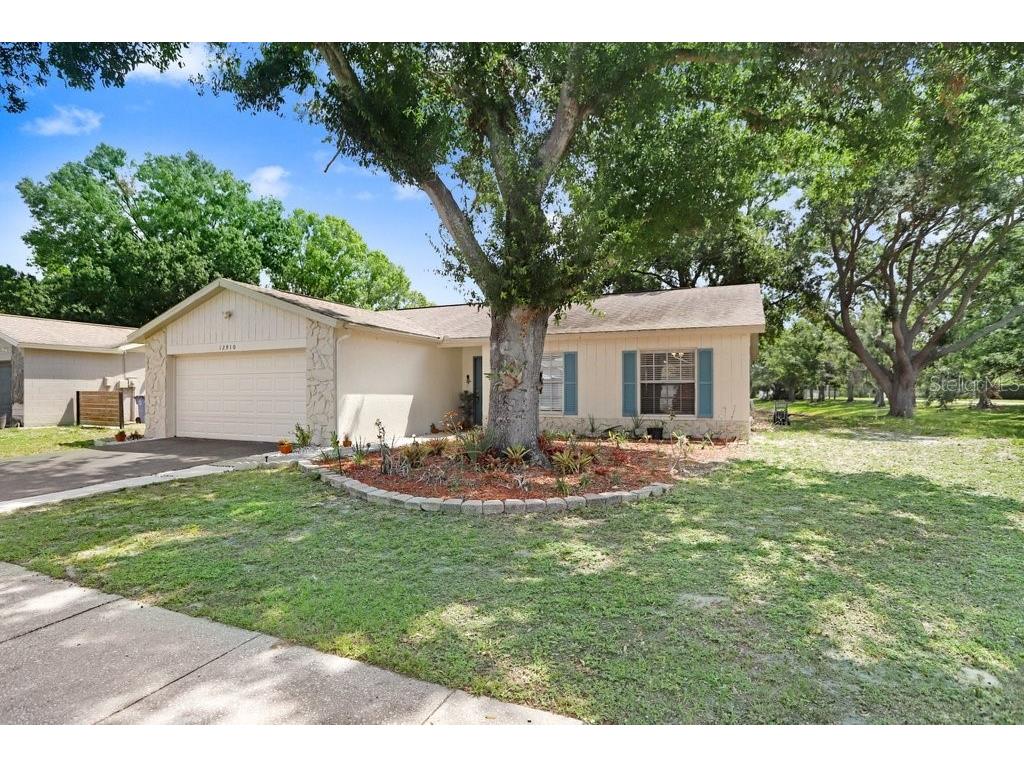 12910 Leadwood Drive Riverview FL 33579 TB8390156 image4