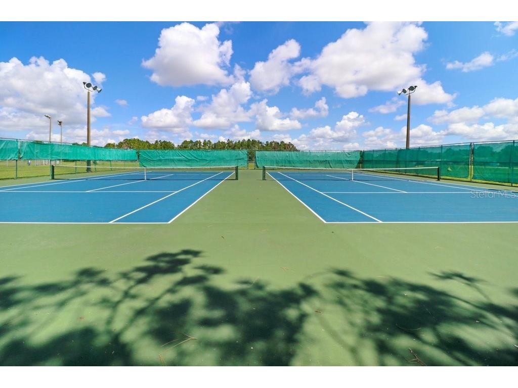 12910 Leadwood Drive Riverview FL 33579 TB8390156 image41