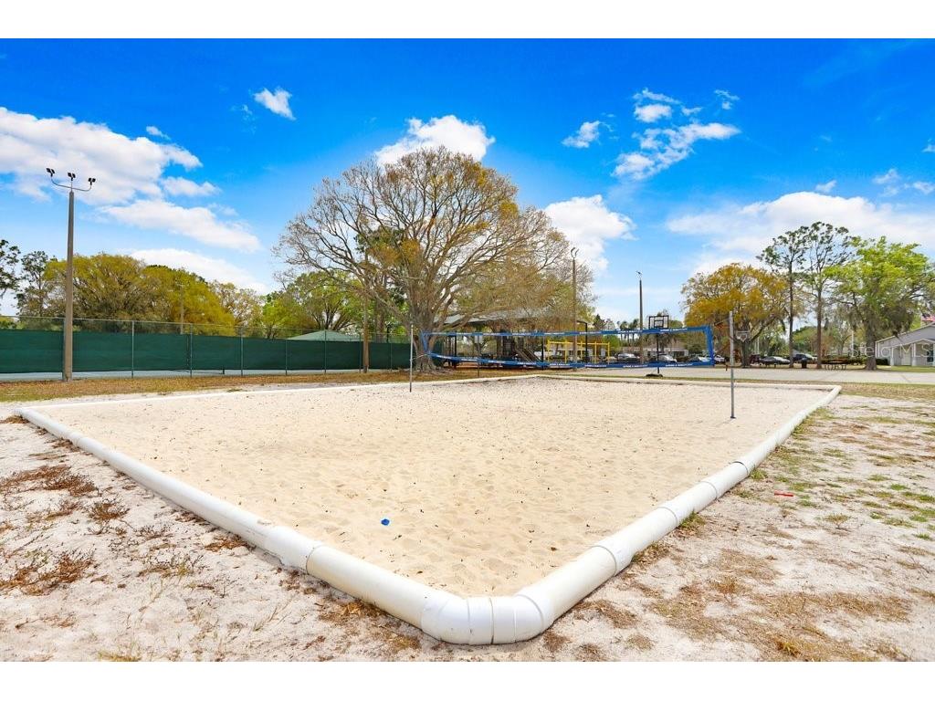 12910 Leadwood Drive Riverview FL 33579 TB8390156 image43