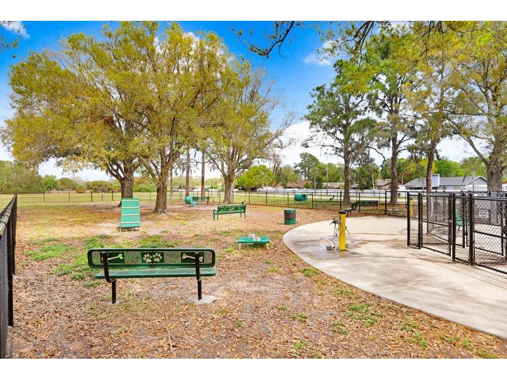 12910 Leadwood Drive Riverview FL 33579 TB8390156 image44