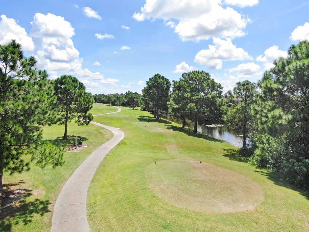 12910 Leadwood Drive Riverview FL 33579 TB8390156 image45