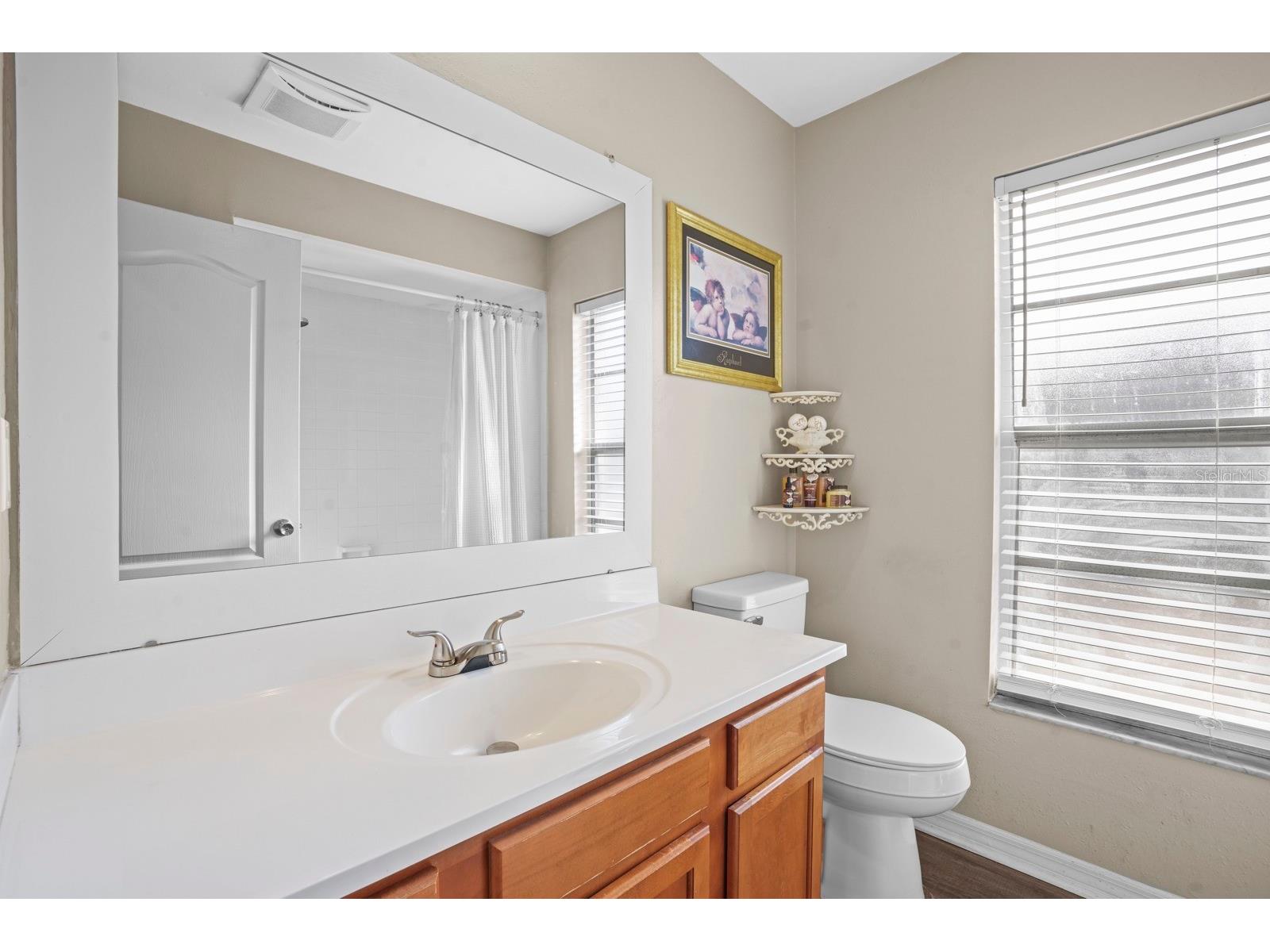 12910 Leadwood Drive Riverview FL 33579 TB8479506 image14