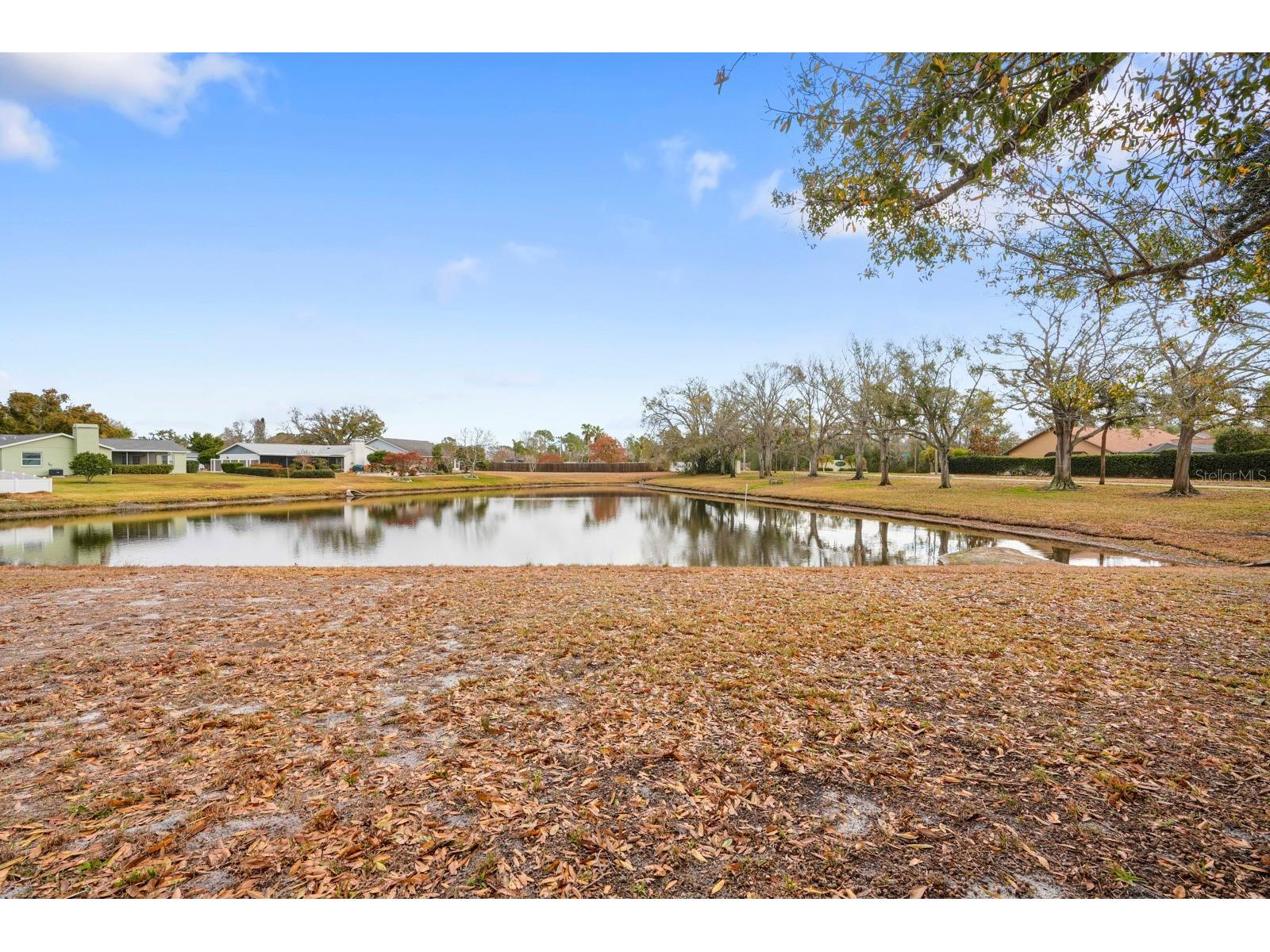 12910 Leadwood Drive Riverview FL 33579 TB8479506 image27