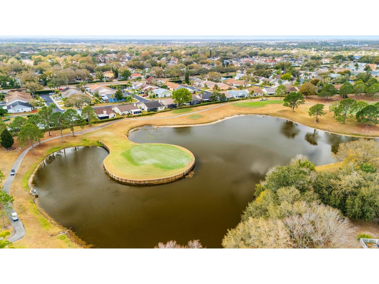 12910 Leadwood Drive Riverview FL 33579 TB8479506 image35