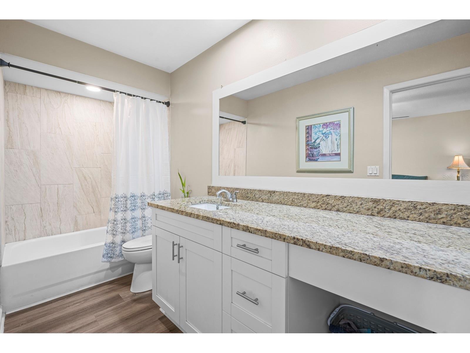 12910 Leadwood Drive Riverview FL 33579 TB8479506 image9