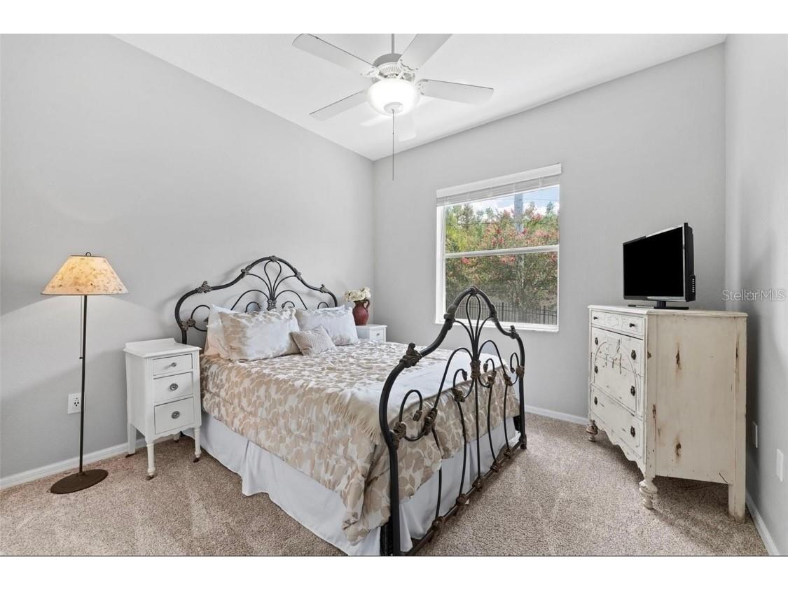 12910 Vicksburg Drive Tampa FL 33625 TB8506804 image19