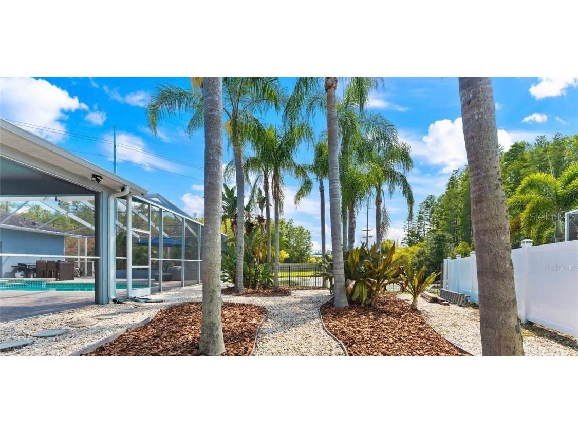 12910 Vicksburg Drive Tampa FL 33625 TB8506804 image40