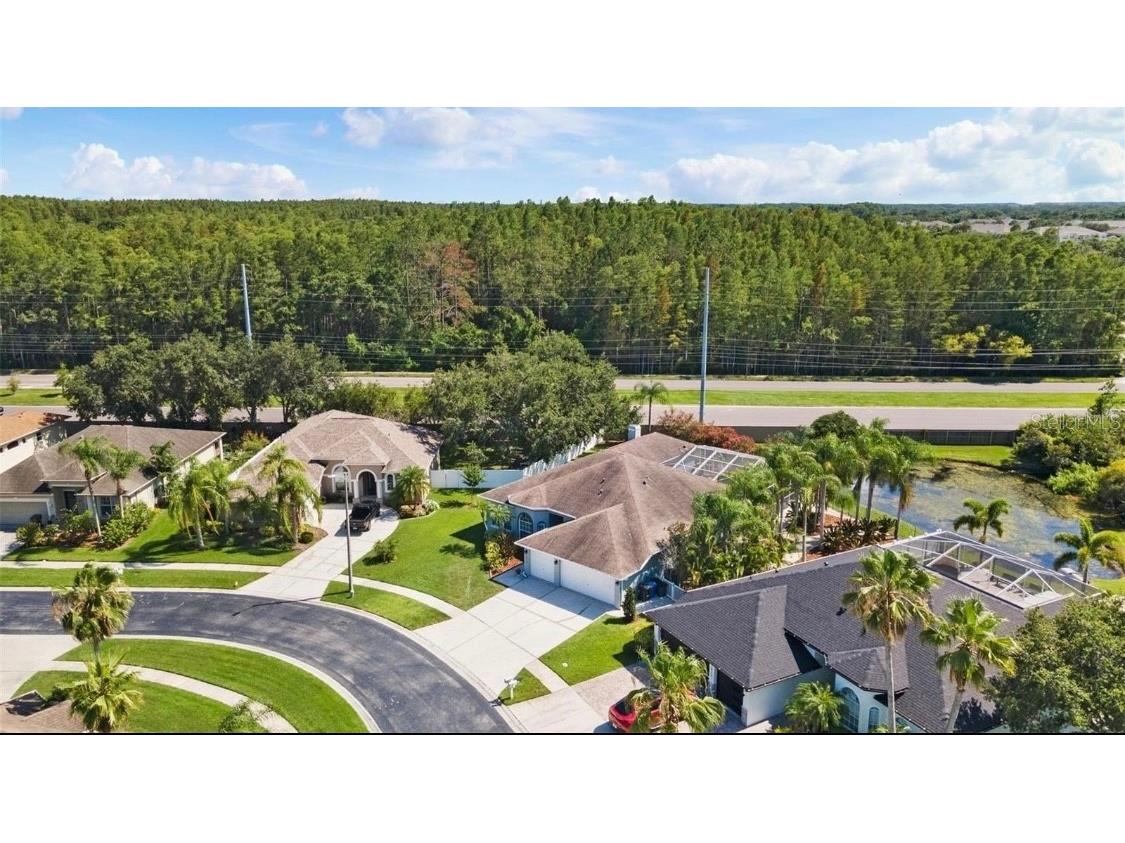 12910 Vicksburg Drive Tampa FL 33625 TB8506804 image42