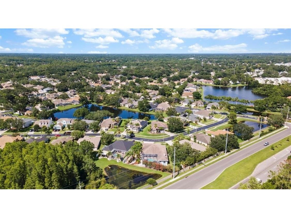 12910 Vicksburg Drive Tampa FL 33625 TB8506804 image43