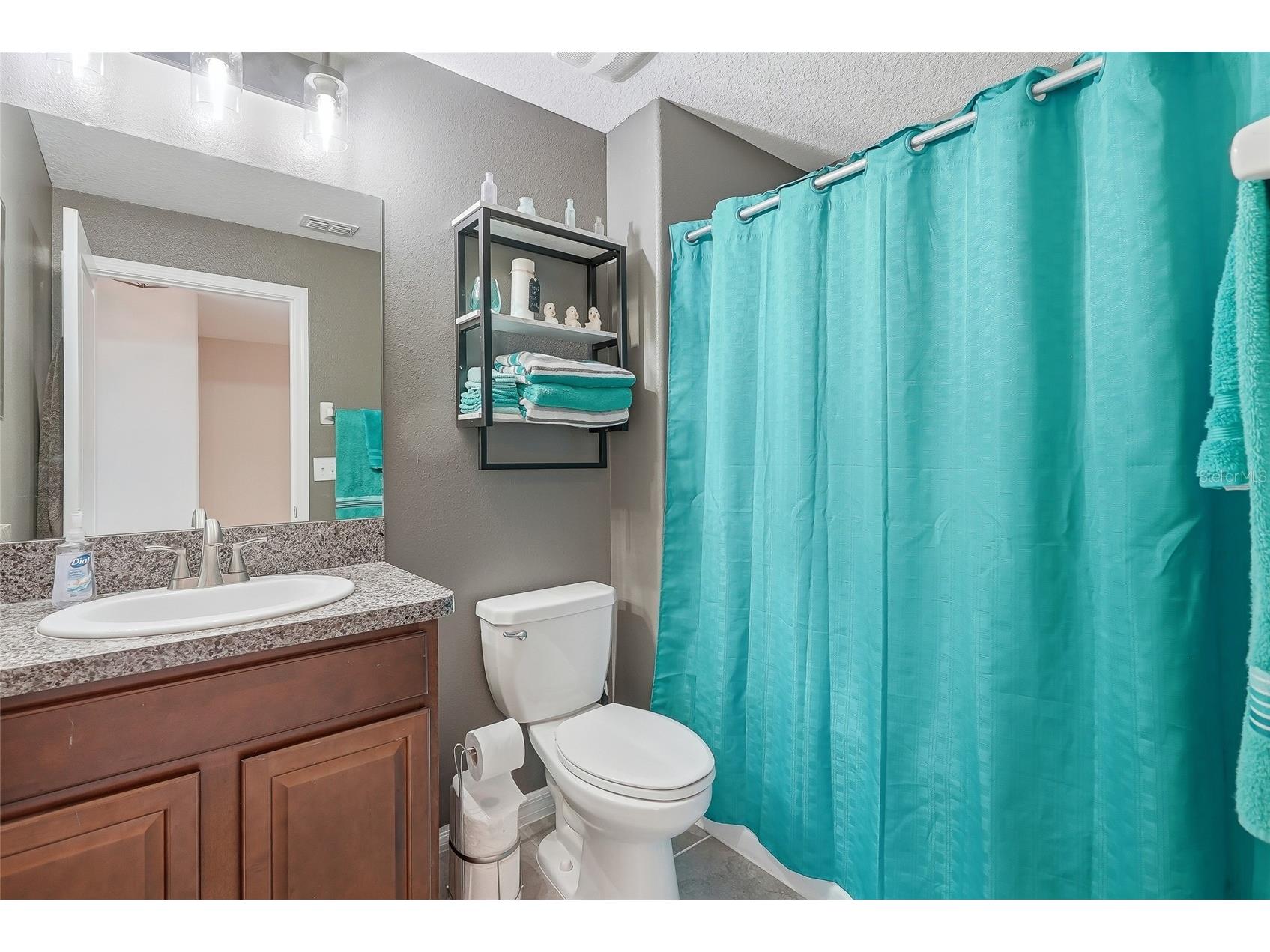 12911 Dream Catcher Way Riverview FL 33579 TB8521598 image28