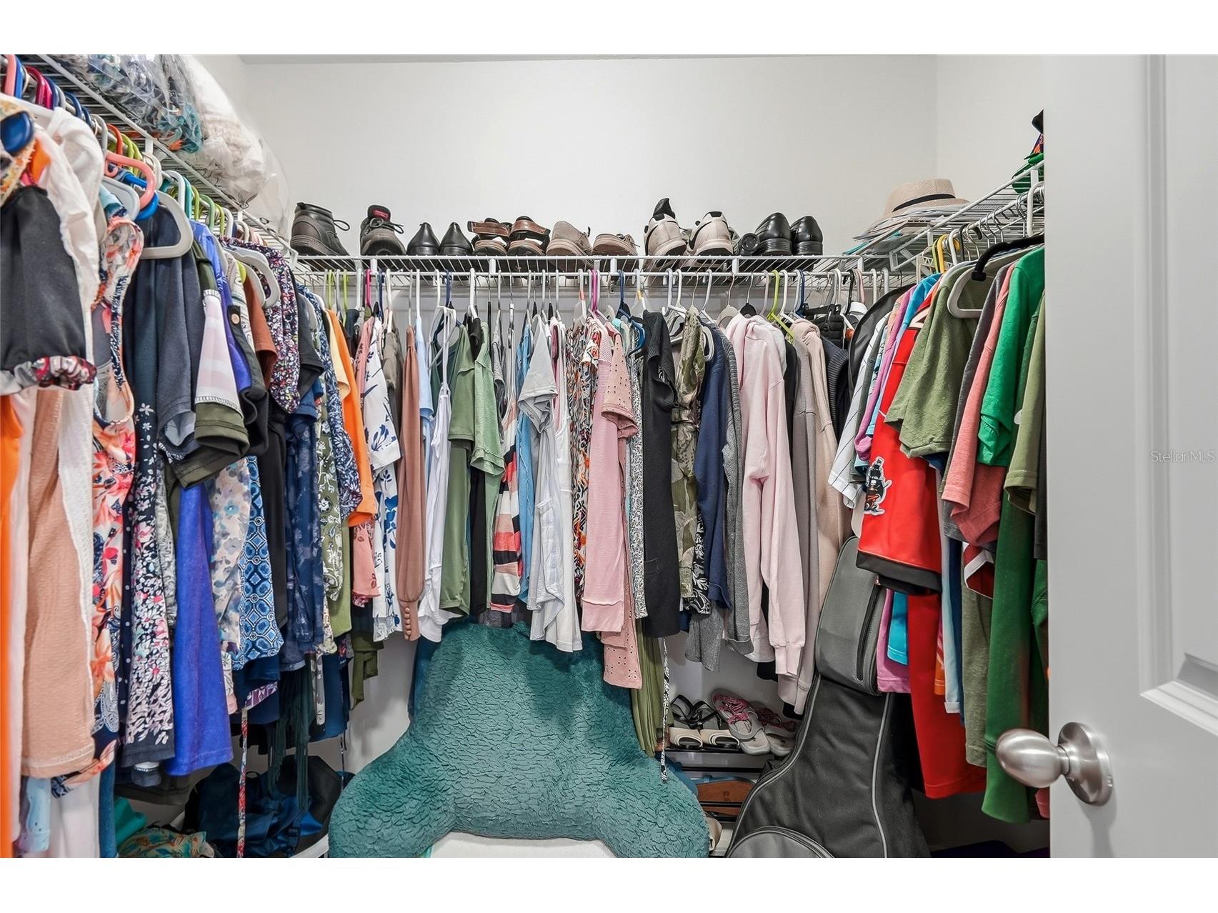 12911 Dream Catcher Way Riverview FL 33579 TB8521598 image36