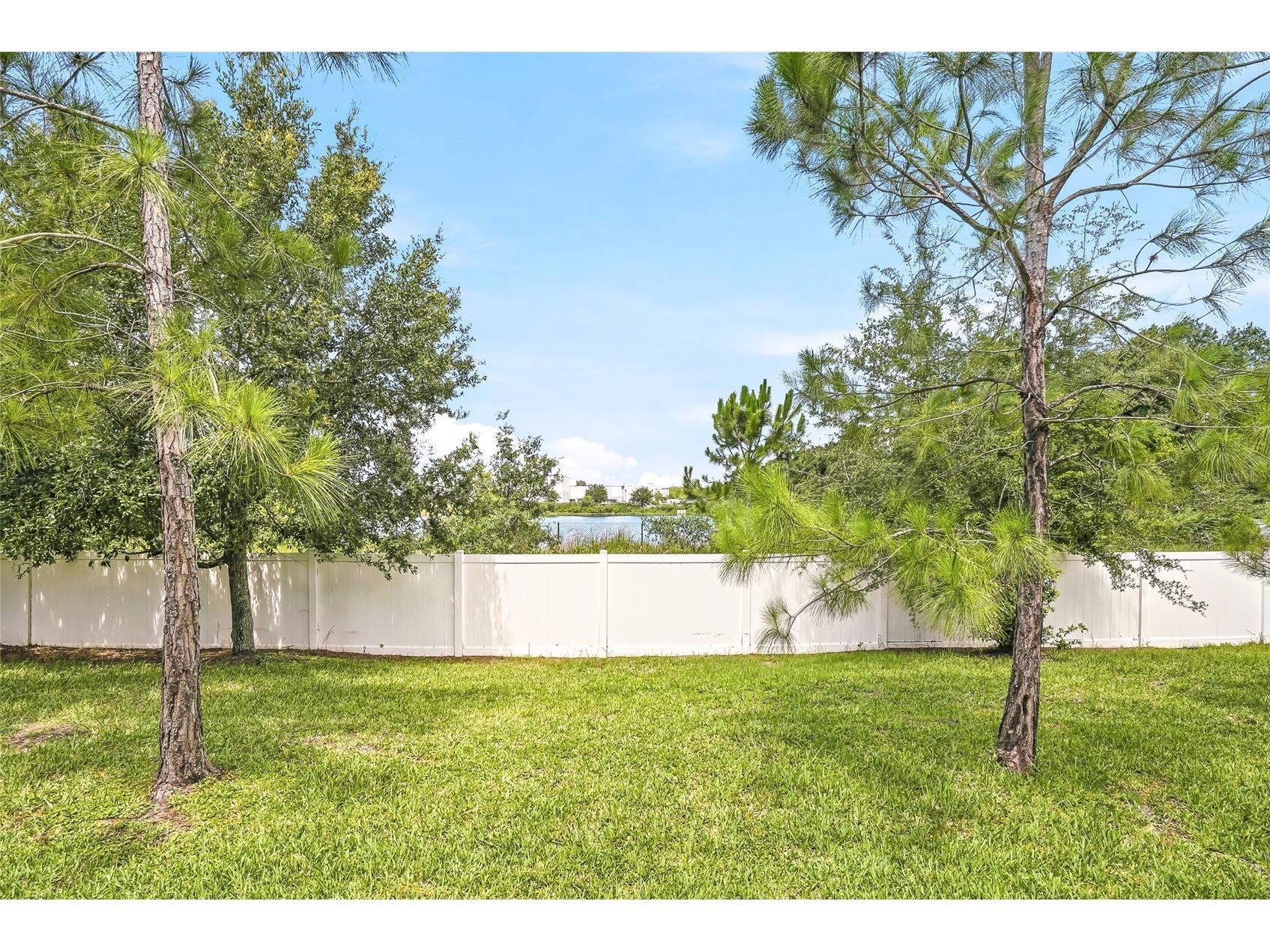 12911 Dream Catcher Way Riverview FL 33579 TB8521598 image44