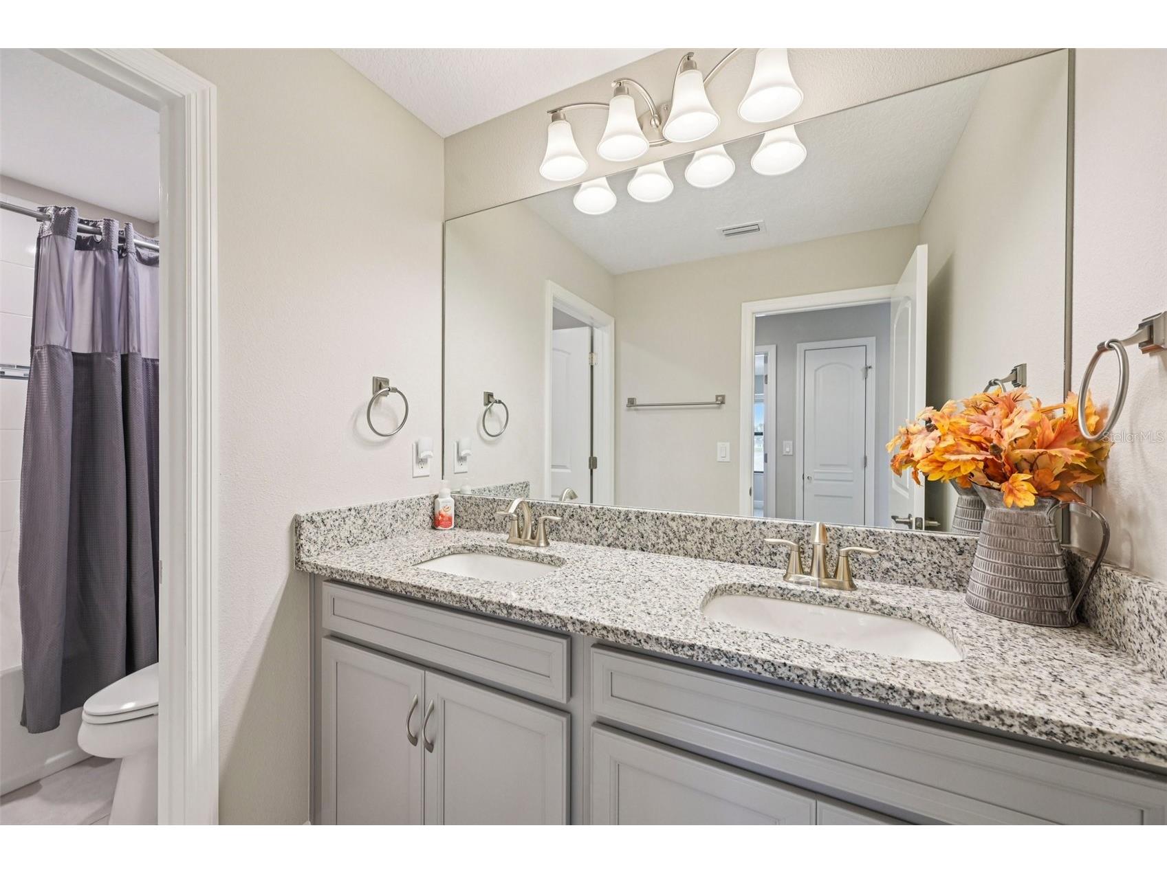 12912 Bent Twig Drive Riverview FL 33579 TB8487480 image38