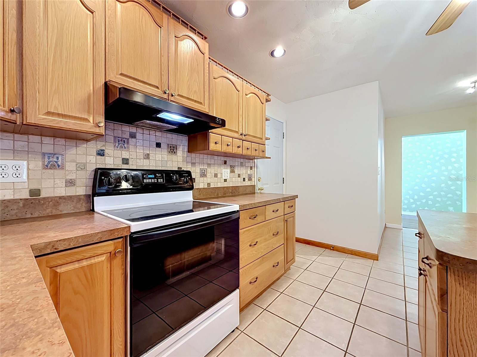 12912 Starling Drive Odessa FL 33556 TB8496395 image20