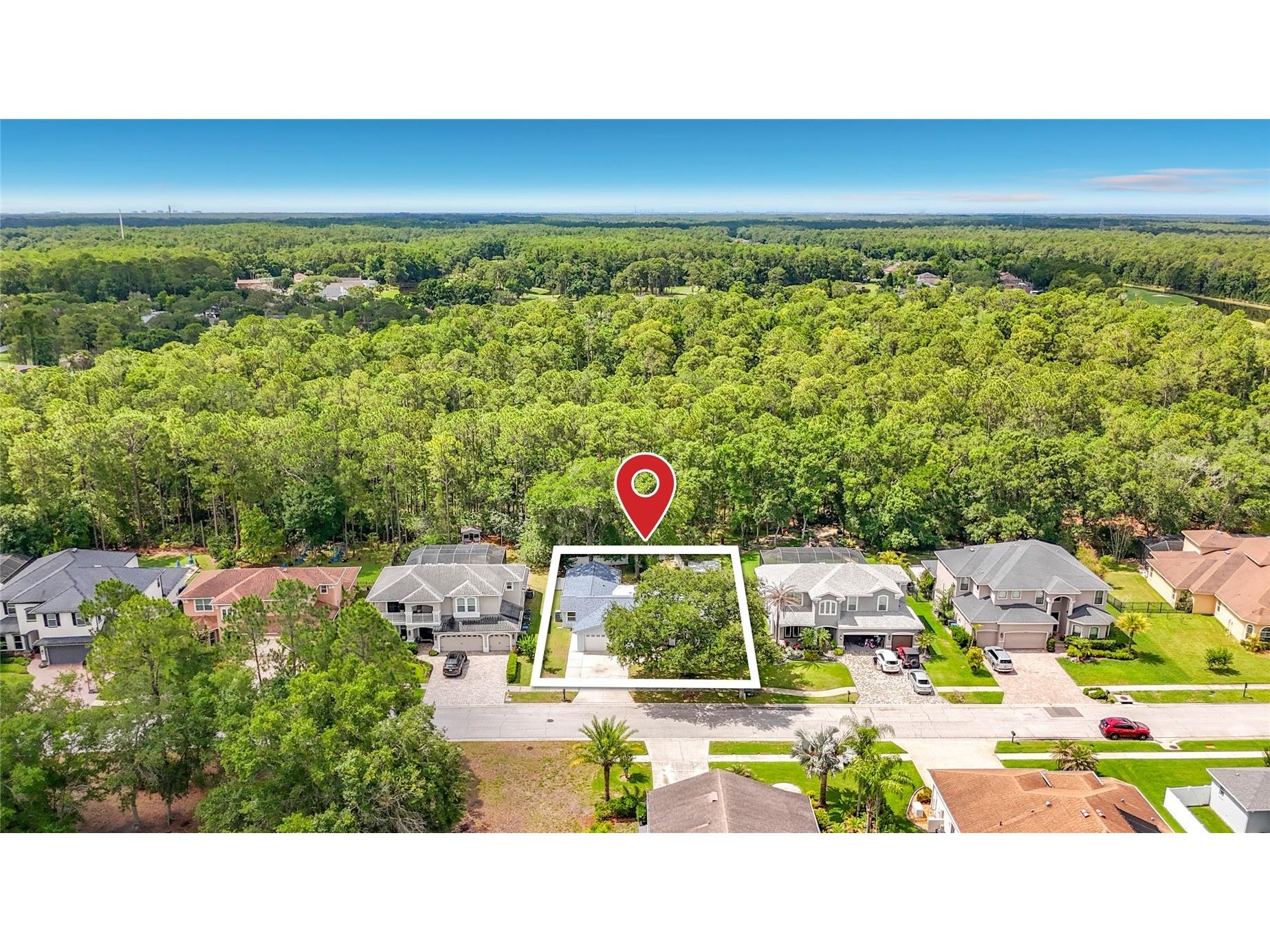 12912 Starling Drive Odessa FL 33556 TB8496395 image4