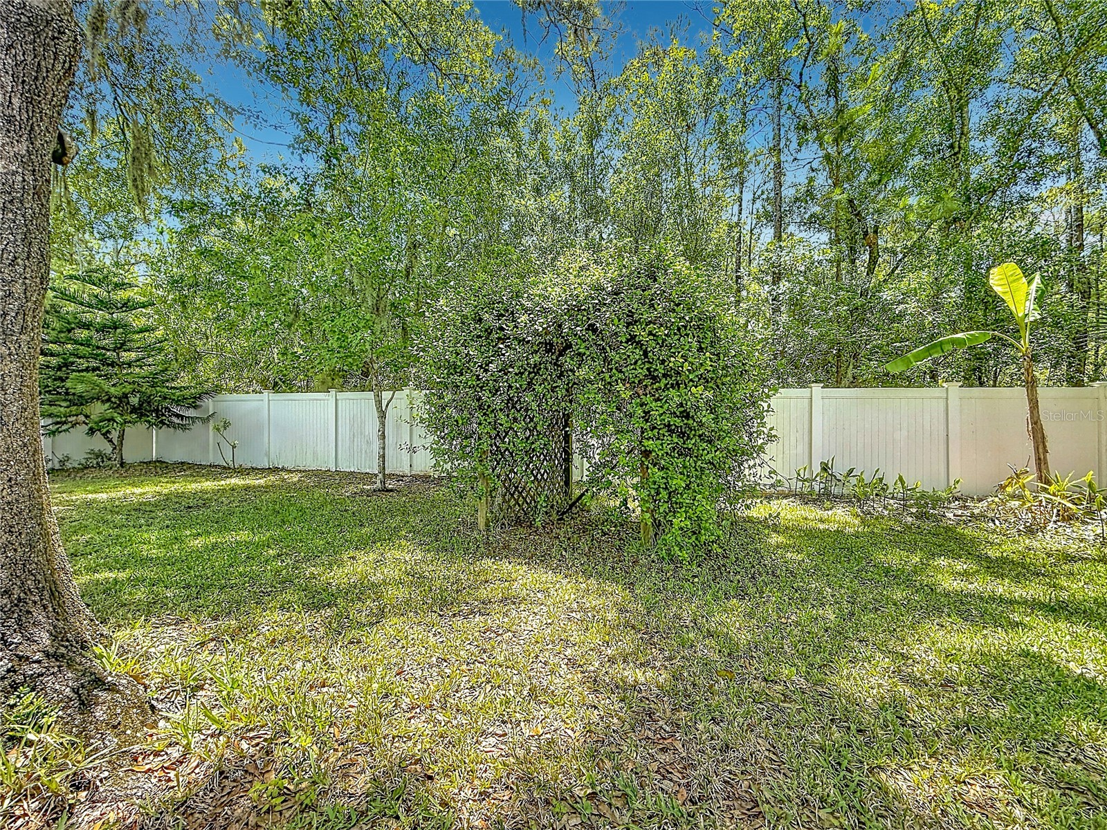 12912 Starling Drive Odessa FL 33556 TB8496395 image61