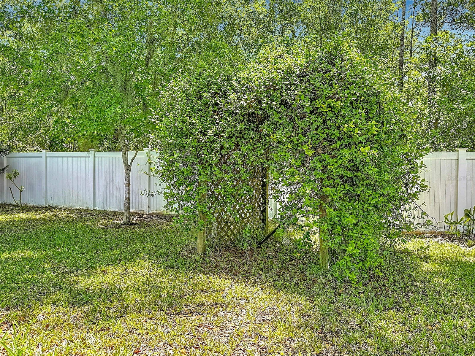 12912 Starling Drive Odessa FL 33556 TB8496395 image62
