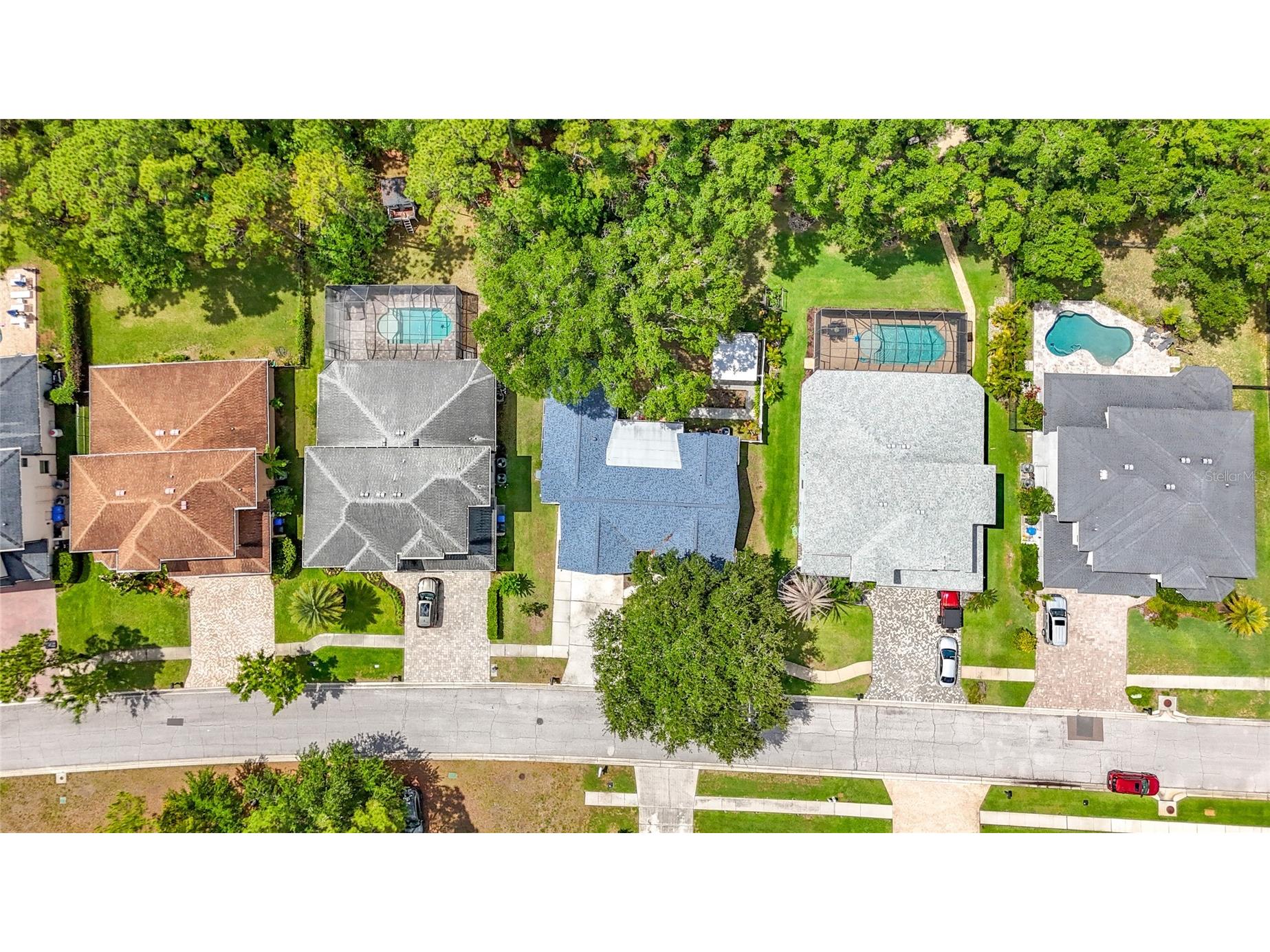 12912 Starling Drive Odessa FL 33556 TB8496395 image67