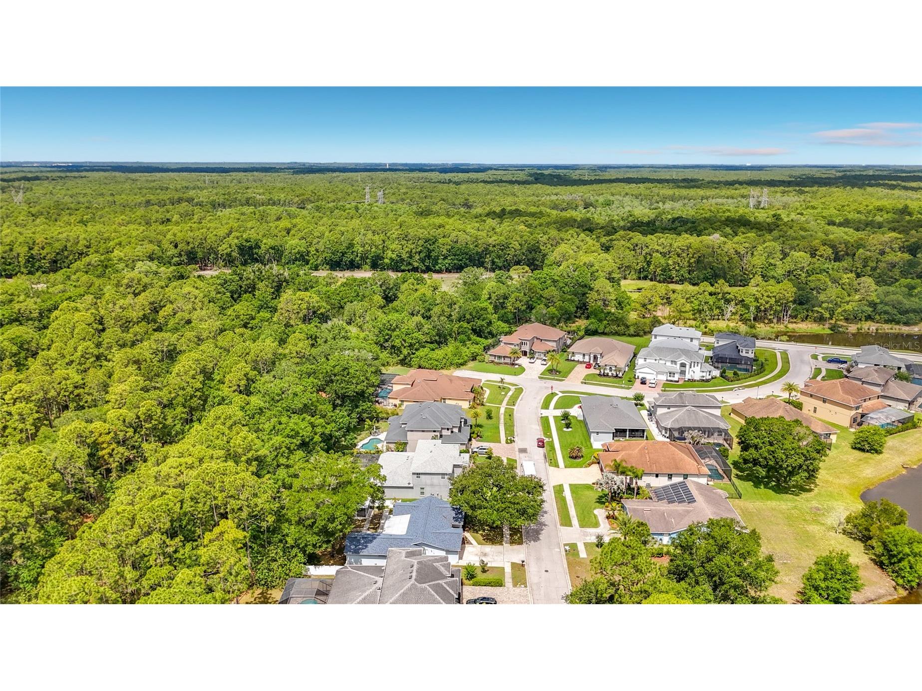 12912 Starling Drive Odessa FL 33556 TB8496395 image68
