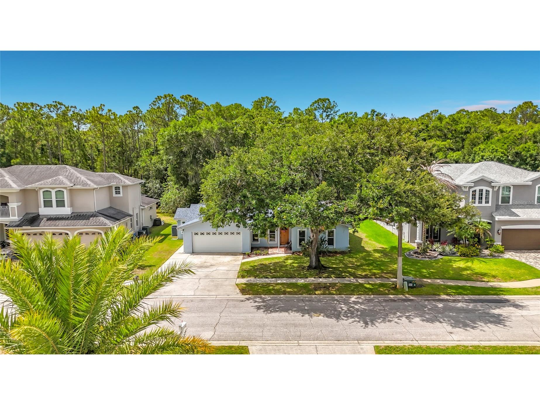 12912 Starling Drive Odessa FL 33556 TB8496395 image78