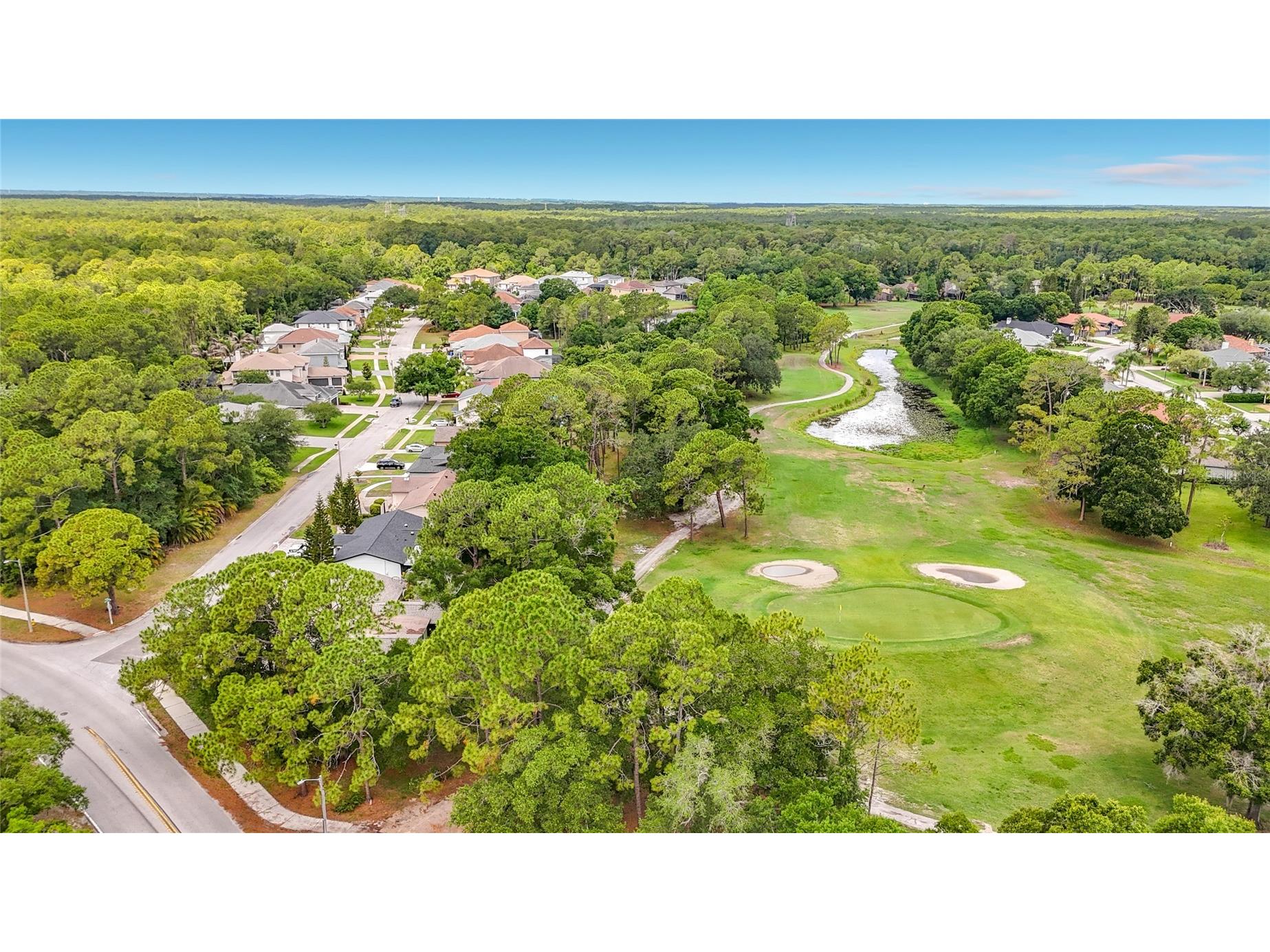 12912 Starling Drive Odessa FL 33556 TB8496395 image80