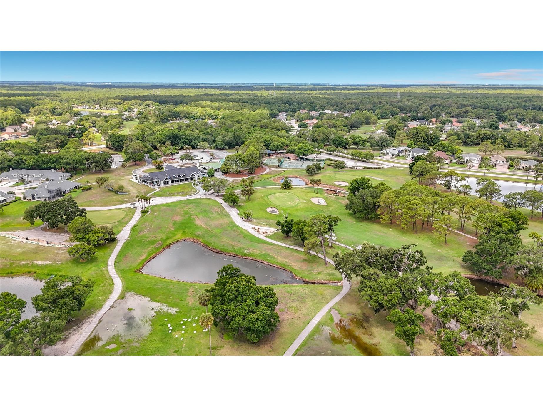 12912 Starling Drive Odessa FL 33556 TB8496395 image81