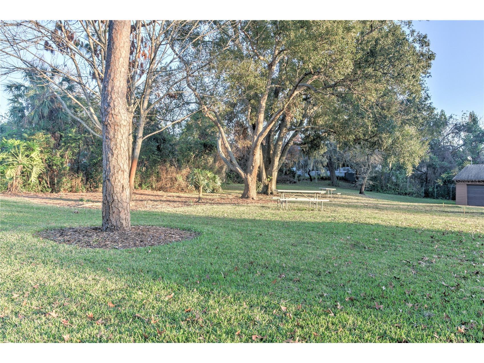 12912 Willoughby Lane Hudson FL 34667 W7882077 image32