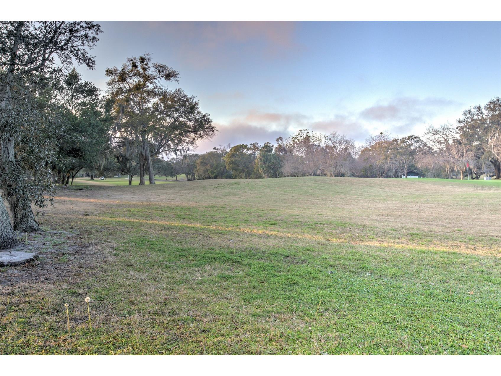 12912 Willoughby Lane Hudson FL 34667 W7882077 image34