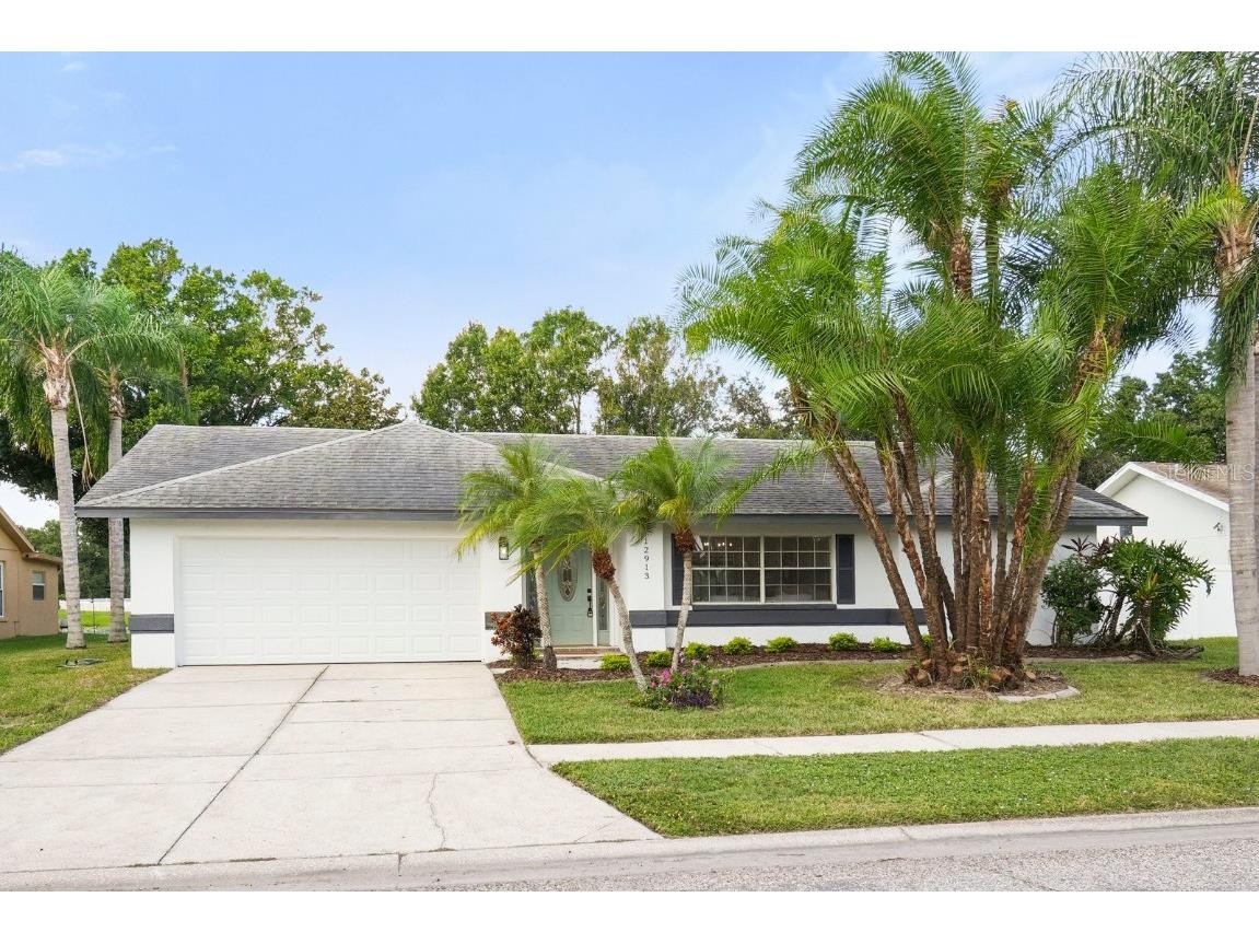 12913 Astorwood Place Riverview FL 33579 TB8435761 image1