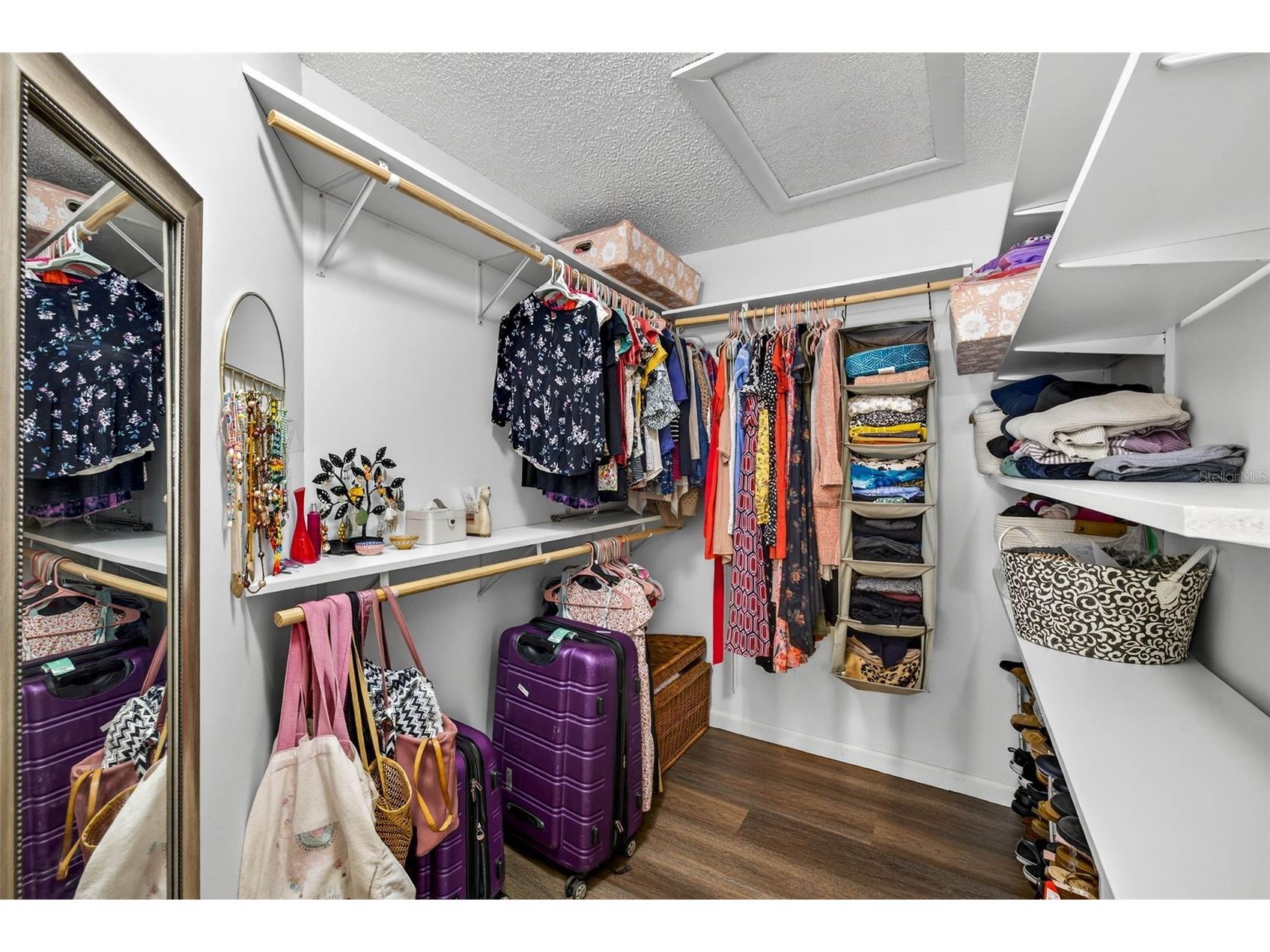 12913 Rain Forest Street Temple Terrace FL 33617 TB8494260 image48