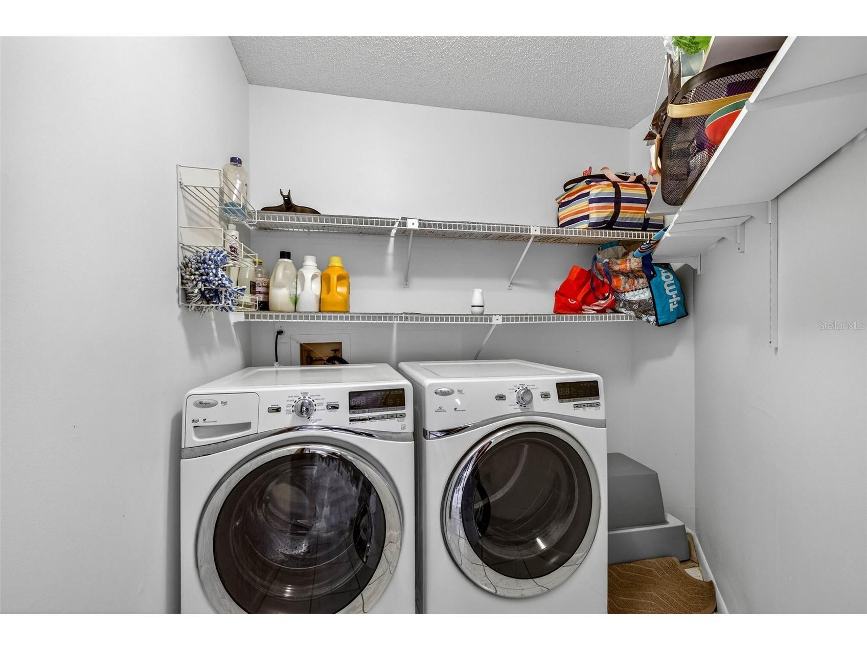 12913 Rain Forest Street Temple Terrace FL 33617 TB8494260 image51