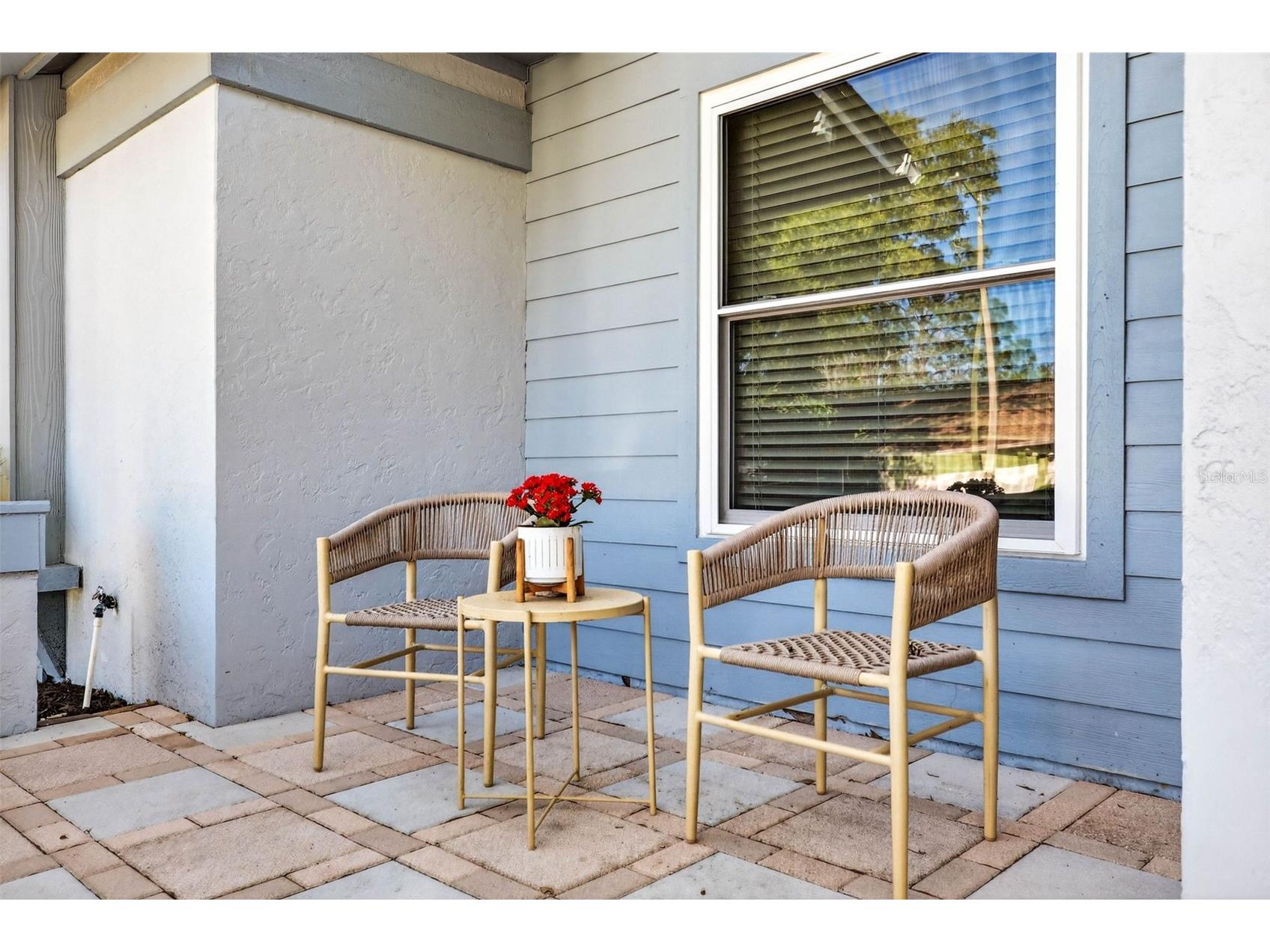 12913 Rain Forest Street Temple Terrace FL 33617 TB8494260 image7