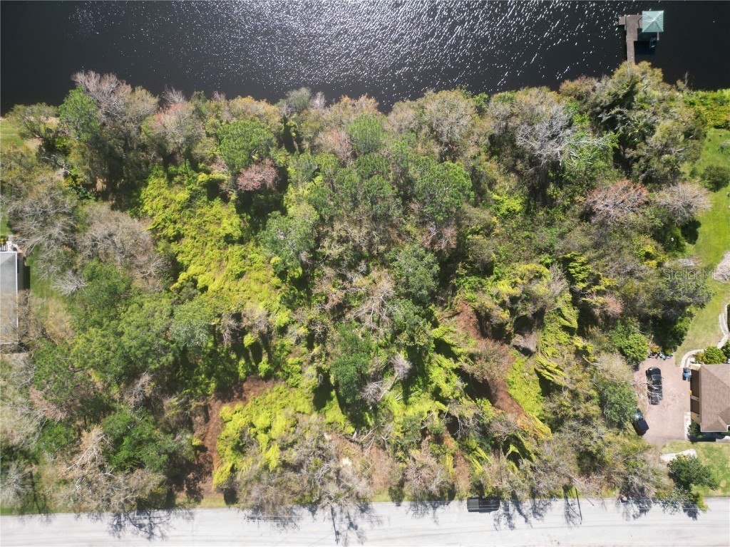 12913 Shadow Run Boulevard Riverview FL 33569 - LAKE GRADY T3429724 image1