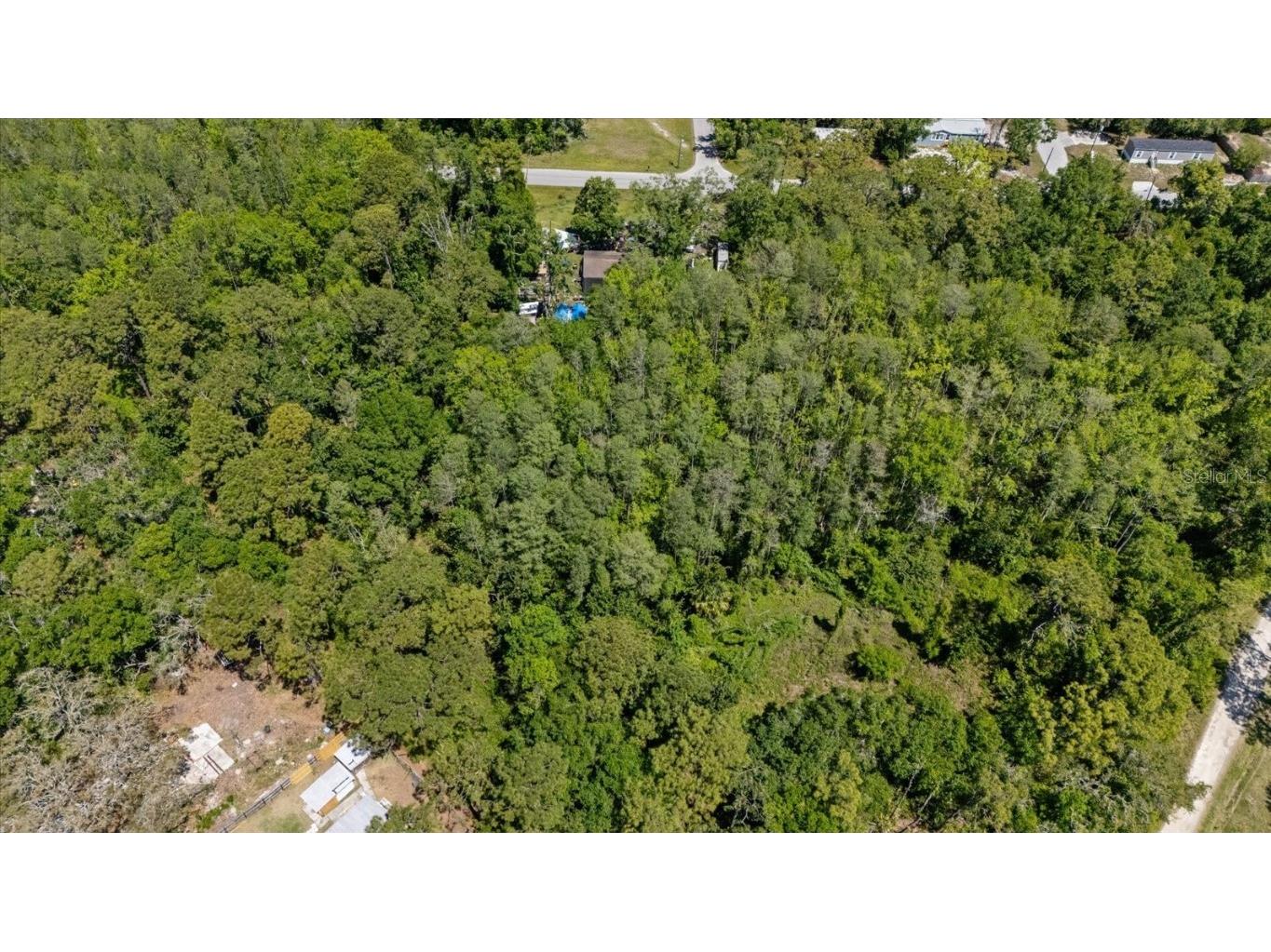 12914 Midvale Avenue New Port Richey FL 34654 W7874568 image1